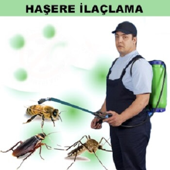 Tosya Böcek İlaçlama